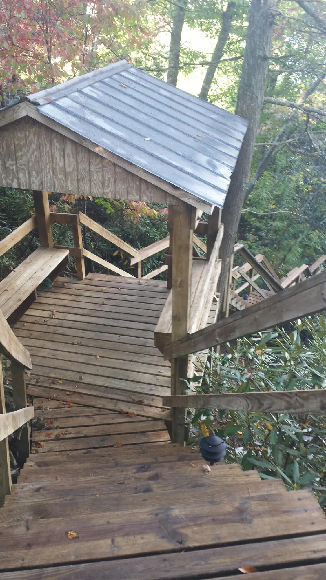 Metal roofed shelter over wooden steps on a wooded walkway — Skylight Repair & Installation work by our crew in Hillrose